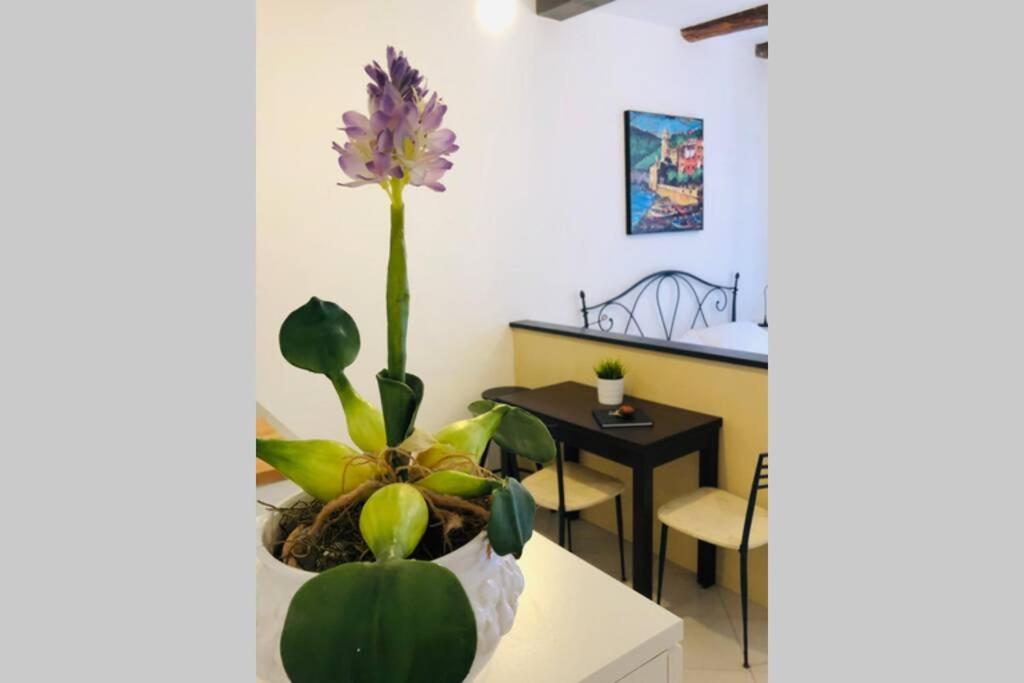 La Gianchina Di Vernazza - Central Cozy Apt Wi-Fi Zewnętrze zdjęcie